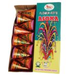 Flower Pots Asoka
