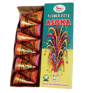 Flower Pots Asoka